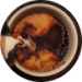 Caffè Espresso Doppio